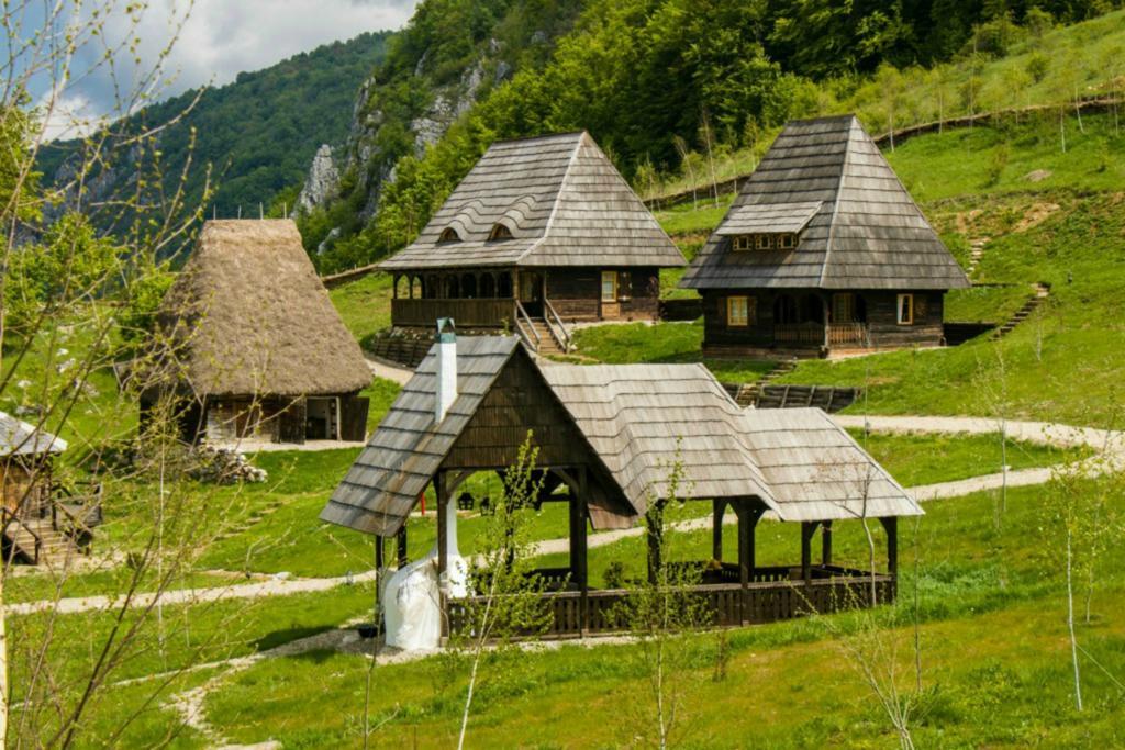 Raven'S Nest Salciua de Jos Ngoại thất bức ảnh