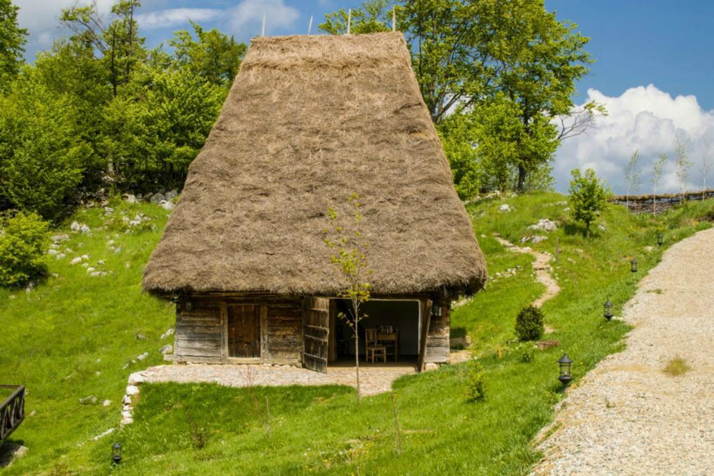 Raven'S Nest Salciua de Jos Ngoại thất bức ảnh