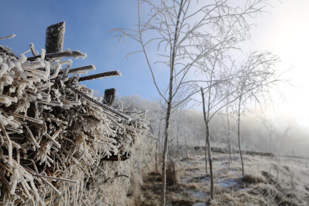 Raven'S Nest Salciua de Jos Ngoại thất bức ảnh